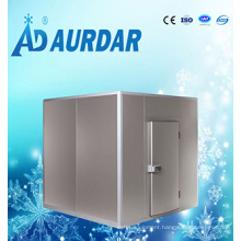 Cold Storage Equipment Cold Room Sliding Door with Handles in Lowest Price